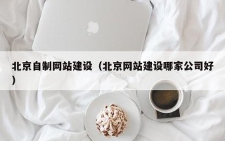 永兴北京自制网站建设（北京网站建设哪家公司好）